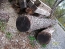 Timber